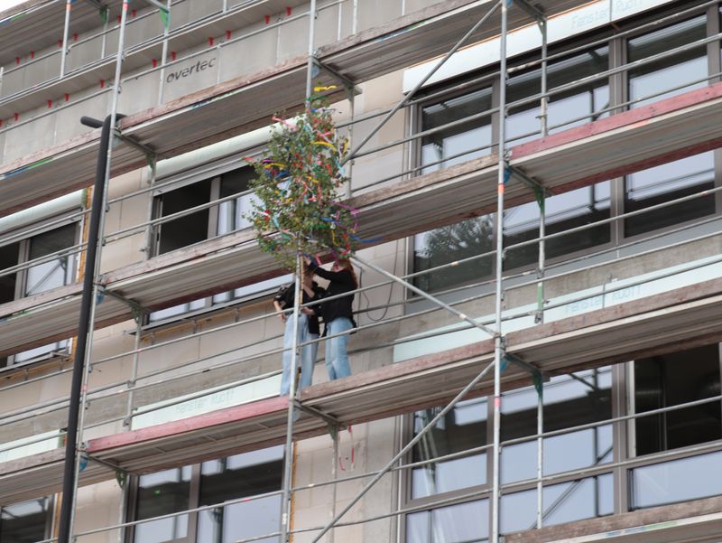 Geschmückter Richtbaum wird auf einem Baugerüst am Neubau befestigt.