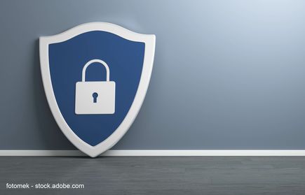vanzerim - stock.adobe.com